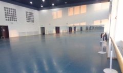 沈阳市浑南新区沈阳歌舞团舞蹈好色先生TV传媒