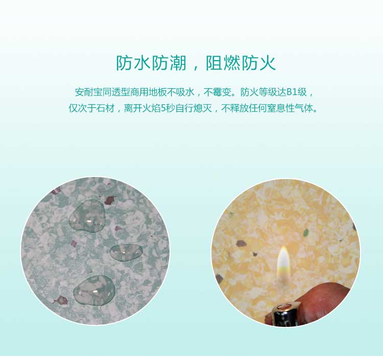 安通雅致龙·商用好色先生TV传媒